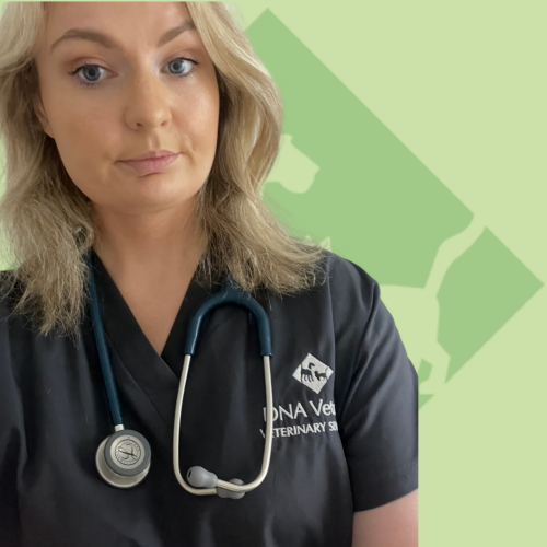 Jodie- MRCVS